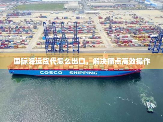 国际海运货代怎么出口,解决痛点高效操作 国际海运货代怎么出口,解决痛点高效操作