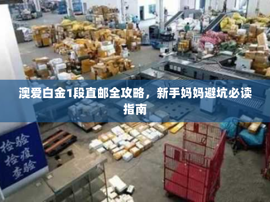 澳爱白金1段直邮全攻略,新手妈妈避坑必读指南 澳爱白金1段直邮全攻略,新手妈妈避坑必读指南