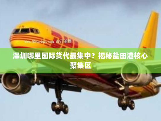 深圳哪里国际货代最集中？揭秘盐田港核心聚集区