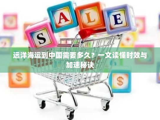 远洋海运到中国需要多久？一文读懂时效与加速秘诀