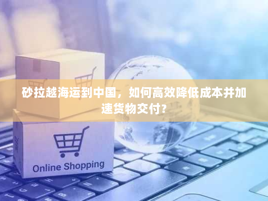 砂拉越海运到中国，如何高效降低成本并加速货物交付？