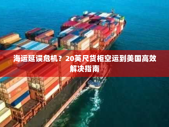 海运延误危机？20英尺货柜空运到美国高效解决指南