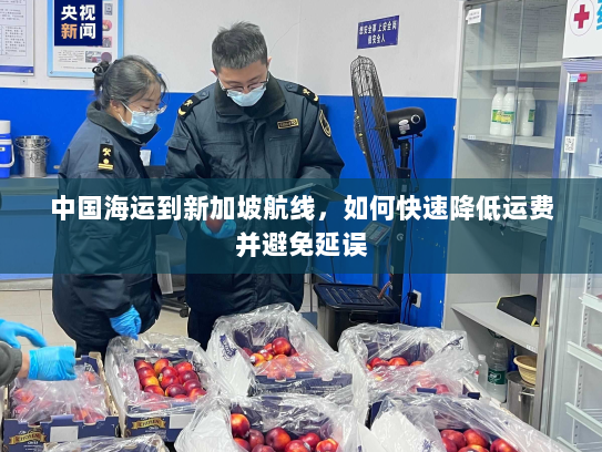 中国海运到新加坡航线,如何快速降低运费并避免延误 中国海运到新加坡航线,如何快速降低运费并避免延误