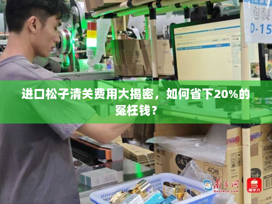 进口松子清关费用大揭密,如何省下20%的冤枉钱? 进口松子清关费用大揭密,如何省下20%的冤枉钱?