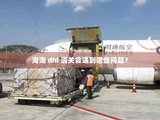 海淘 dhl 清关会遇到哪些问题? 海淘 dhl 清关会遇到哪些问题?
