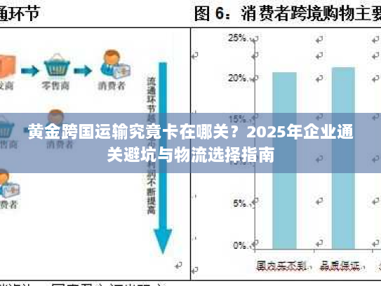 黄金跨国运输究竟卡在哪关？2025年企业通关避坑与物流选择指南