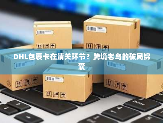 DHL包裹卡在清关环节？跨境老鸟的破局锦囊