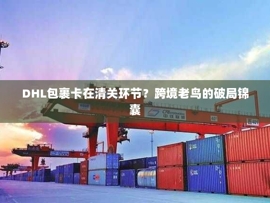 DHL包裹卡在清关环节？跨境老鸟的破局锦囊