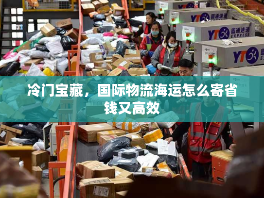 冷门宝藏，国际物流海运怎么寄省钱又高效