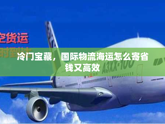 冷门宝藏，国际物流海运怎么寄省钱又高效
