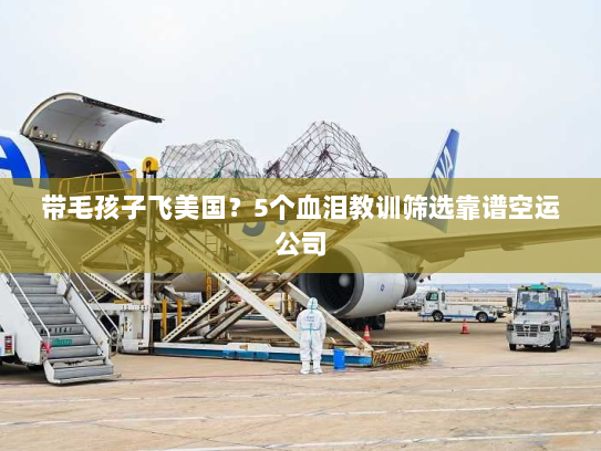 带毛孩子飞美国?5个血泪教训筛选靠谱空运公司 带毛孩子飞美国?5个血泪教训筛选靠谱空运公司