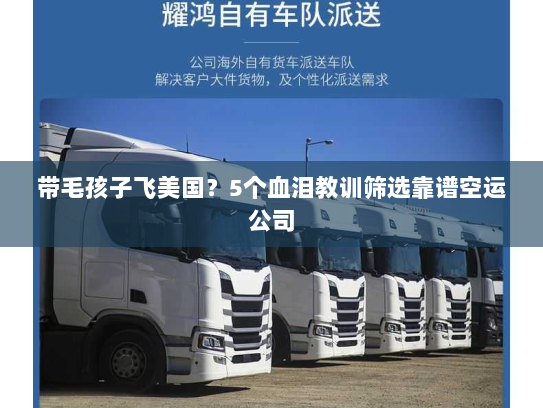 带毛孩子飞美国?5个血泪教训筛选靠谱空运公司 带毛孩子飞美国?5个血泪教训筛选靠谱空运公司