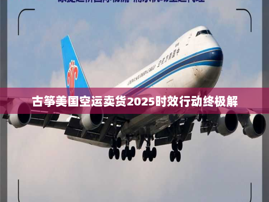 古筝美国空运卖货2025时效行动终极解 古筝美国空运卖货2025时效行动终极解