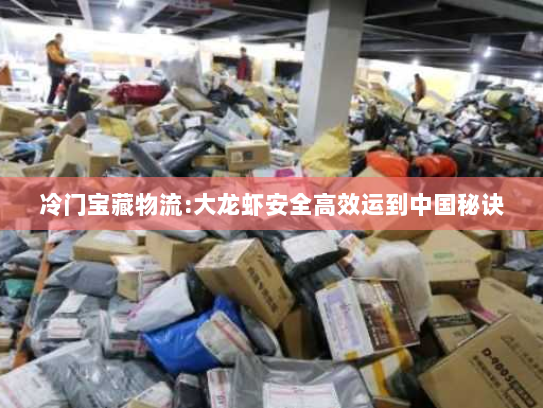 冷门宝藏物流:大龙虾安全高效运到中国秘诀 冷门宝藏物流:大龙虾安全高效运到中国秘诀
