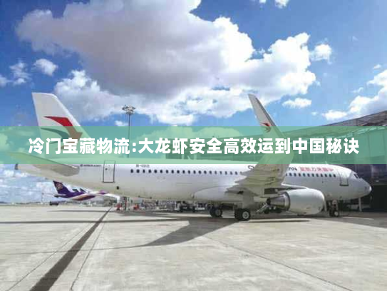 冷门宝藏物流:大龙虾安全高效运到中国秘诀 冷门宝藏物流:大龙虾安全高效运到中国秘诀