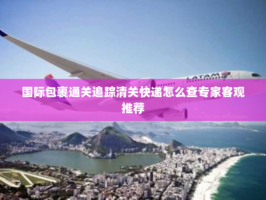 国际包裹通关追踪清关快递怎么查专家客观推荐 国际包裹通关追踪清关快递怎么查专家客观推荐