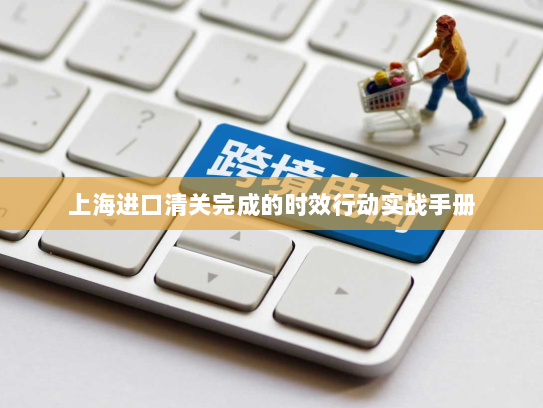 上海进口清关完成的时效行动实战手册