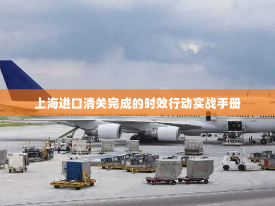 上海进口清关完成的时效行动实战手册