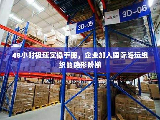 48小时极速实操手册，企业加入国际海运组织的隐形阶梯
