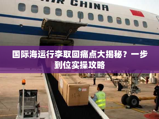 国际海运行李取回痛点大揭秘？一步到位实操攻略