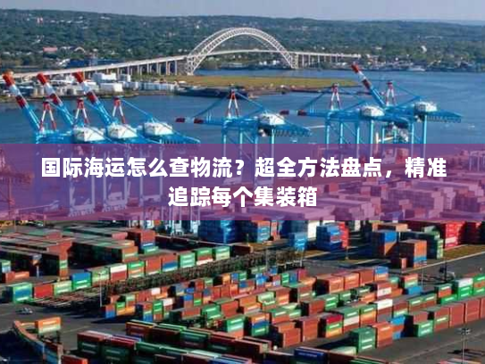 国际海运怎么查物流?超全方法盘点,精准追踪每个集装箱 国际海运怎么查物流?超全方法盘点,精准追踪每个集装箱