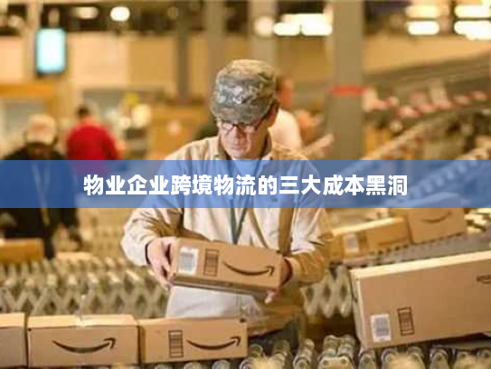 物业企业跨境物流的三大成本黑洞 物业企业跨境物流的三大成本黑洞