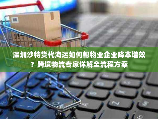 深圳沙特货代海运如何帮物业企业降本增效?跨境物流专家详解全流程方案 深圳沙特货代海运如何帮物业企业降本增效?跨境物流专家详解全流程方案
