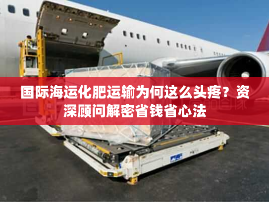 国际海运化肥运输为何这么头疼？资深顾问解密省钱省心法