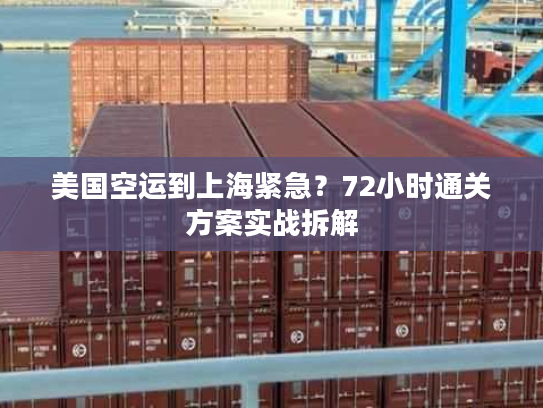 美国空运到上海紧急？72小时通关方案实战拆解
