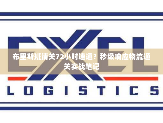 布里斯班清关72小时速通?秒级响应物流通关实战笔记 布里斯班清关72小时速通?秒级响应物流通关实战笔记