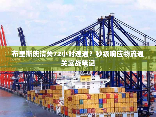 布里斯班清关72小时速通?秒级响应物流通关实战笔记 布里斯班清关72小时速通?秒级响应物流通关实战笔记