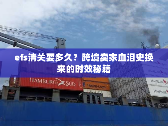 efs清关要多久？跨境卖家血泪史换来的时效秘籍