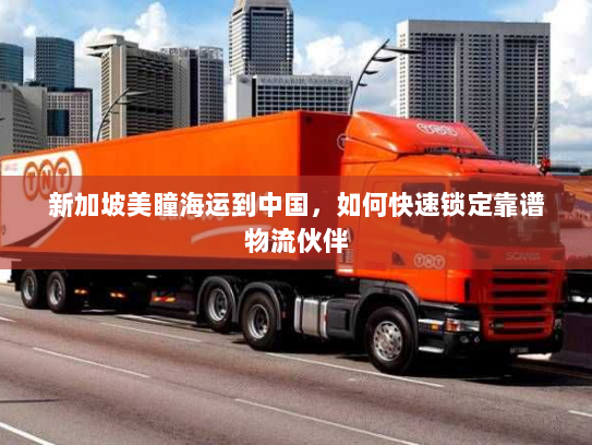 新加坡美瞳海运到中国,如何快速锁定靠谱物流伙伴 新加坡美瞳海运到中国,如何快速锁定靠谱物流伙伴