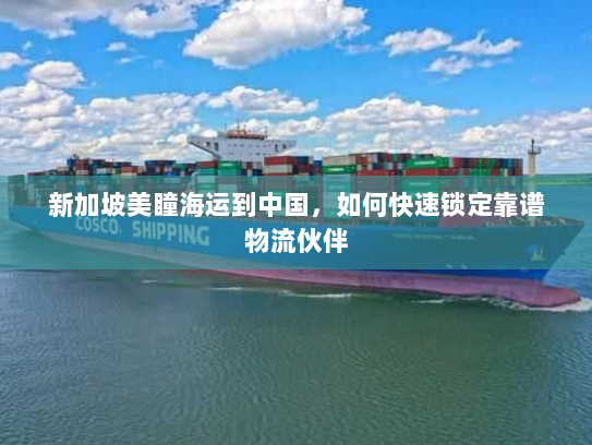 新加坡美瞳海运到中国,如何快速锁定靠谱物流伙伴 新加坡美瞳海运到中国,如何快速锁定靠谱物流伙伴