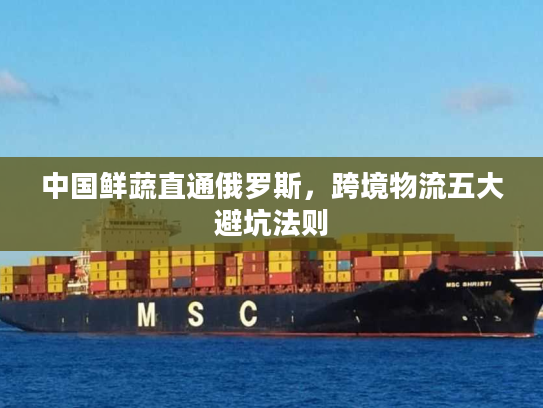 中国鲜蔬直通俄罗斯,跨境物流五大避坑法则 中国鲜蔬直通俄罗斯,跨境物流五大避坑法则