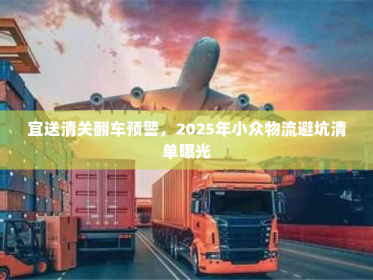 宜送清关翻车预警,2025年小众物流避坑清单曝光 宜送清关翻车预警,2025年小众物流避坑清单曝光