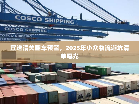 宜送清关翻车预警,2025年小众物流避坑清单曝光 宜送清关翻车预警,2025年小众物流避坑清单曝光