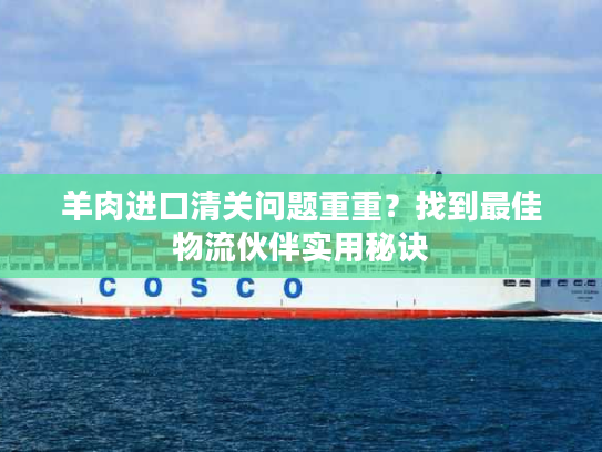羊肉进口清关问题重重？找到最佳物流伙伴实用秘诀