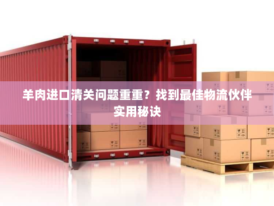 羊肉进口清关问题重重？找到最佳物流伙伴实用秘诀