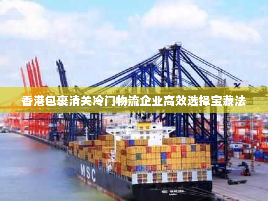 香港包裹清关冷门物流企业高效选择宝藏法 香港包裹清关冷门物流企业高效选择宝藏法
