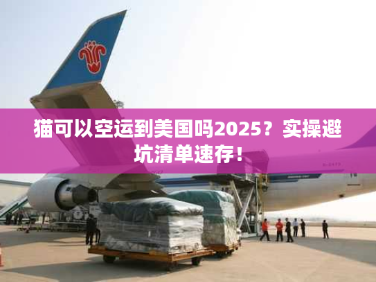 猫可以空运到美国吗2025？实操避坑清单速存！