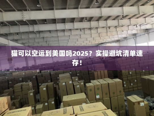 猫可以空运到美国吗2025?实操避坑清单速存! 猫可以空运到美国吗2025?实操避坑清单速存!
