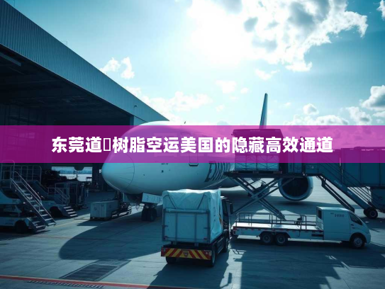 东莞道滘树脂空运美国的隐藏高效通道 东莞道滘树脂空运美国的隐藏高效通道