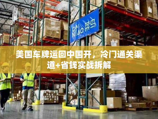 美国车牌运回中国开,冷门通关渠道+省钱实战拆解 美国车牌运回中国开,冷门通关渠道+省钱实战拆解