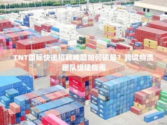 TNT国际快递招聘难题如何破解？跨境物流团队组建指南