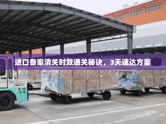 进口备案清关时效通关秘诀,3天速达方案 进口备案清关时效通关秘诀,3天速达方案