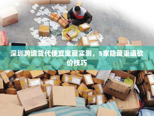 深圳跨境货代便宜宝藏实测,5家隐藏渠道砍价技巧 深圳跨境货代便宜宝藏实测,5家隐藏渠道砍价技巧