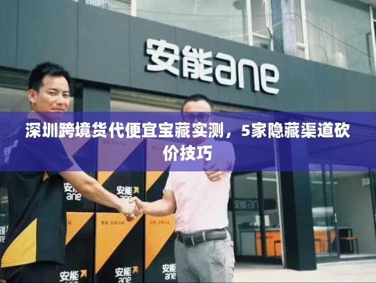 深圳跨境货代便宜宝藏实测,5家隐藏渠道砍价技巧 深圳跨境货代便宜宝藏实测,5家隐藏渠道砍价技巧