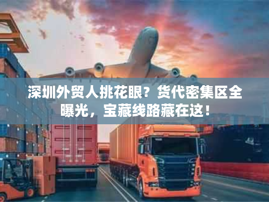 深圳外贸人挑花眼？货代密集区全曝光，宝藏线路藏在这！