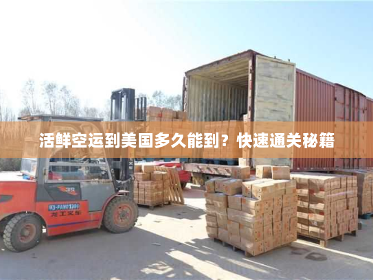 活鲜空运到美国多久能到？快速通关秘籍